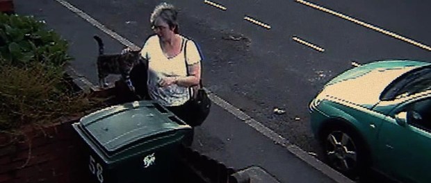 Cat_dumped_caught_o_154639a